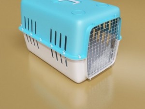 pet carrier high detailed 3D Model