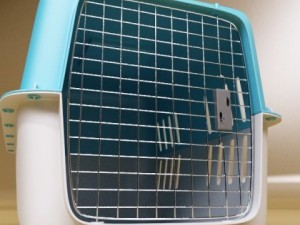 pet carrier high detailed 3D Model