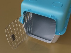 pet carrier high detailed 3D Model