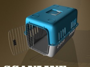 pet carrier high detailed 3D Model