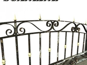 wrought iron fence 03 high res Model 3D