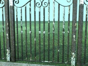 iron gate collection 3D Model