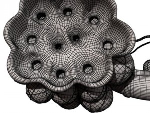 alveoli anatomy 3D-Modell