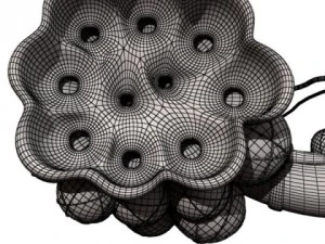 alveoli anatomy 3D Model