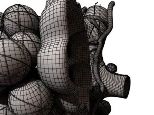 alveoli anatomy 3D Model
