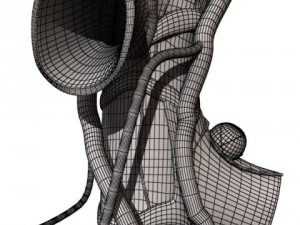alveoli anatomy 3D-Modell