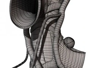 alveoli anatomy 3D Model