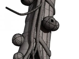 alveoli anatomy 3D Model