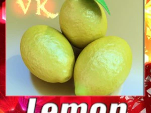 lim&oacute;n alto detalle Modelo 3D