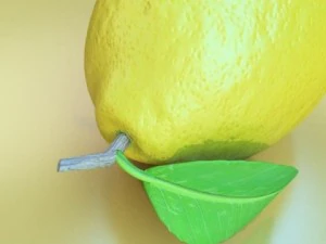 dettaglio elevato del limone Modello 3D