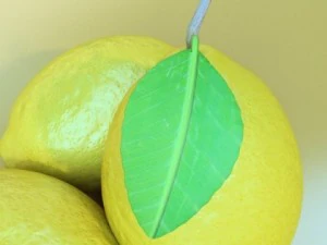 dettaglio elevato del limone Modello 3D