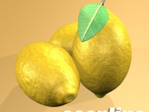 lemon high detail 3D Model