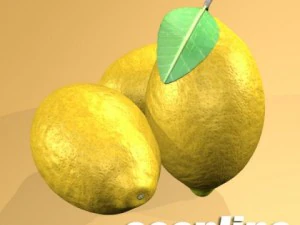 dettaglio elevato del limone Modello 3D
