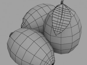 dettaglio elevato del limone Modello 3D
