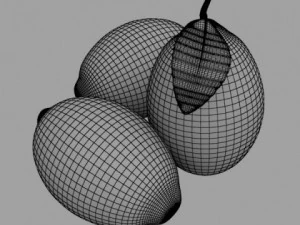 dettaglio elevato del limone Modello 3D