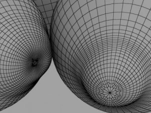 dettaglio elevato del limone Modello 3D