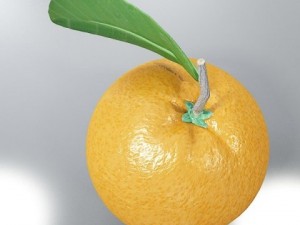 orange high detailed high resolution textures Modelo 3D