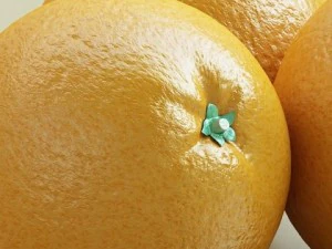 orange high detailed high resolution textures 3D Model