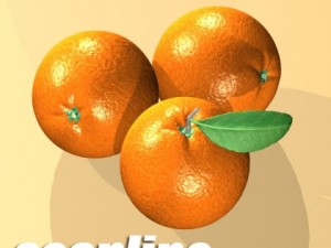 orange high detailed high resolution textures Modelo 3D