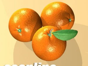 orange high detailed high resolution textures 3D Model