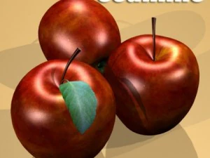 red apples in decorative metal wire container 3D Model