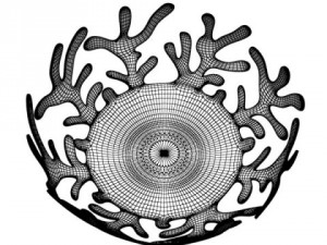 decorative bowl 04 3D-Modell