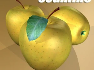 yellow apple high detail resolution 3D Model