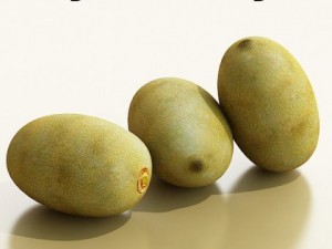 photorealistic kiwi fruit 3D Model
