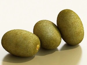 kiwi fruit in basket 3D Model