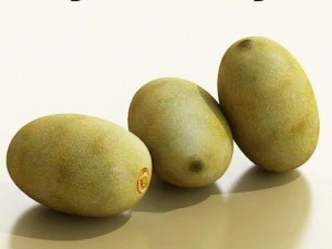 kiwi fruit in basket 3D Model