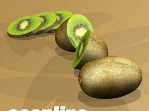 kiwi fruit in basket 3D Model
