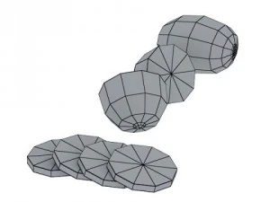 kiwi fruit in basket 3D Model