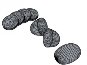 kiwi fruit in basket 3D Model
