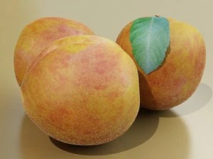 photorealistic peach high resolution 3D Model