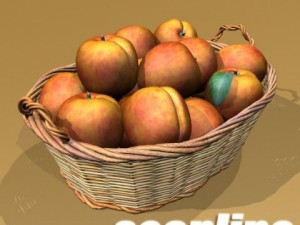 peaches in basket 3D मॉडल