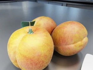 peaches in basket 3D Model