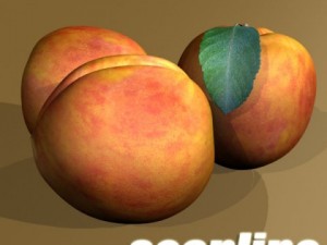 peaches in basket 3D मॉडल