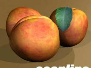 peaches in basket 3D Model