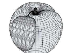 peaches in basket 3D Model