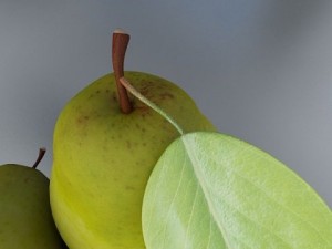 pear high resolution 3D Model