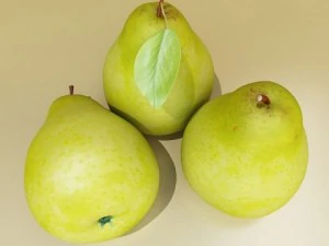 pear high resolution 3D Model