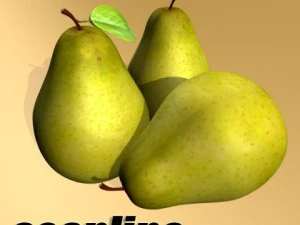 pear high resolution 3D Model