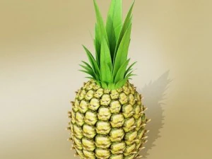 pineapple high detail 3D Model