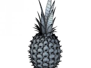 pineapple high detail 3D Model