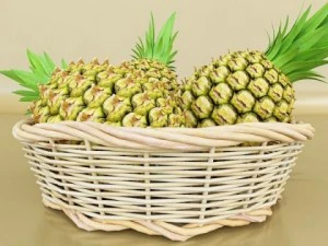 pineapples in wicker basket 10 3D Model