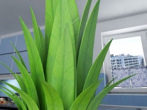 pineapples in wicker basket 10 Model 3D