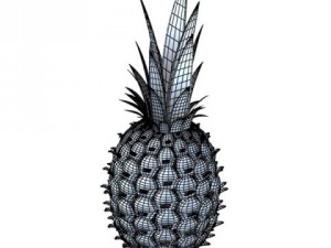 pineapples in wicker basket 10 Model 3D