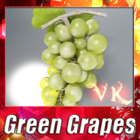 green grapes high detail 3D Модель .c4d .max .obj .3ds .fbx .stl .blend 