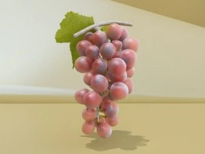 red grapes high detail 3D Model