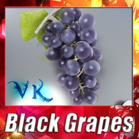 black grapes high detail 3D 模型 .c4d .max .obj .3ds .fbx .stl .blend